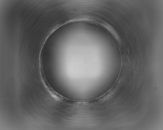 X0000073950858200608210940