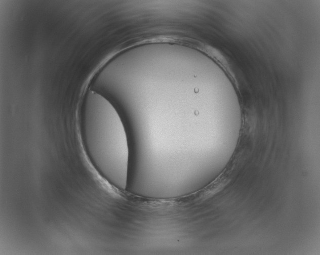 X0000073950859200608210940