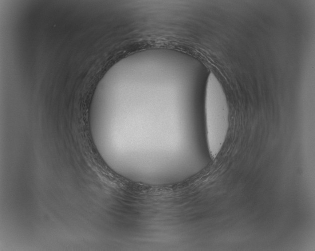 X0000073950865200608210940