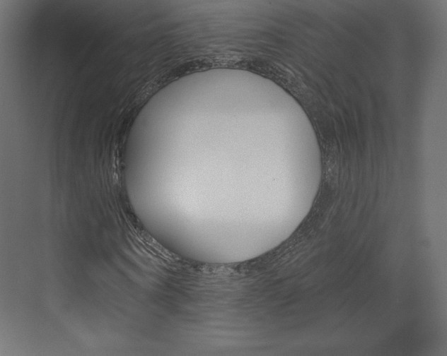 X0000073950866200608210940