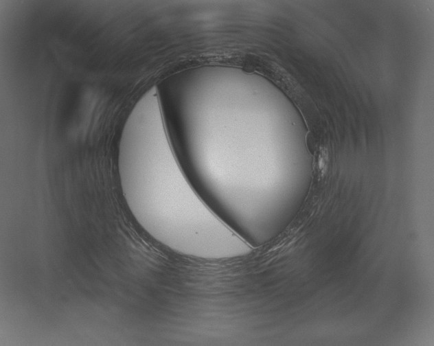 X0000073950867200608210940