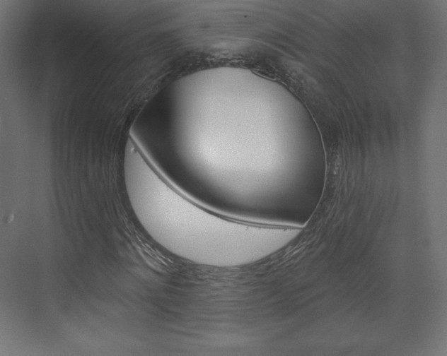 X0000073950868200608210940