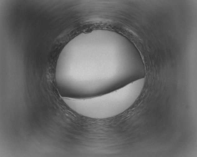 X0000073950869200608210940