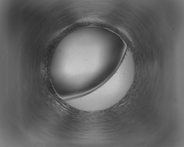 X0000073950872200608210940