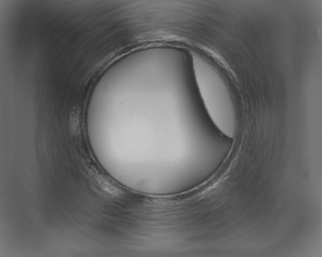 X0000073950873200608210940