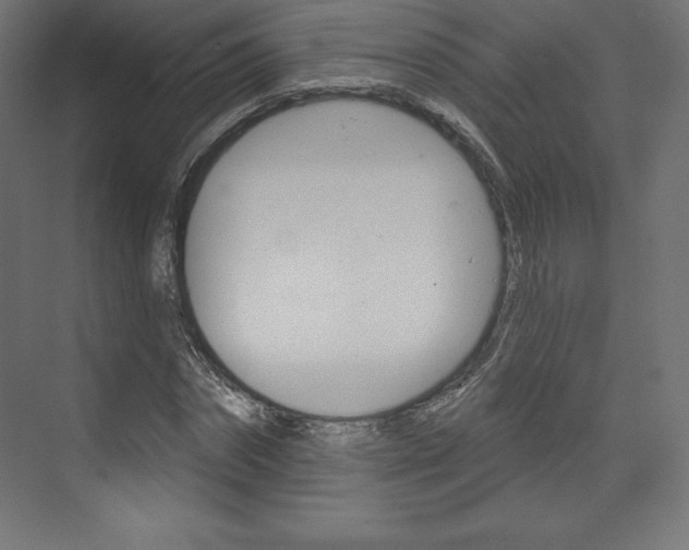 X0000073950874200608210940