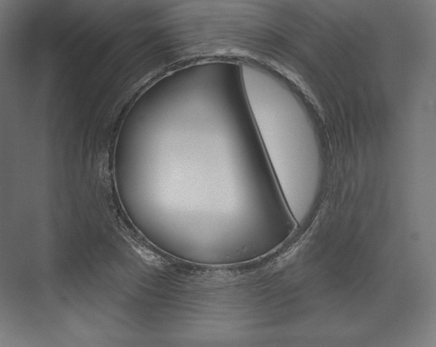 X0000073950881200608210939