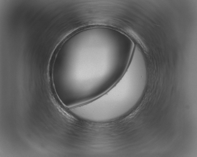 X0000073950884200608210939