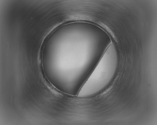 X0000073950885200608210939