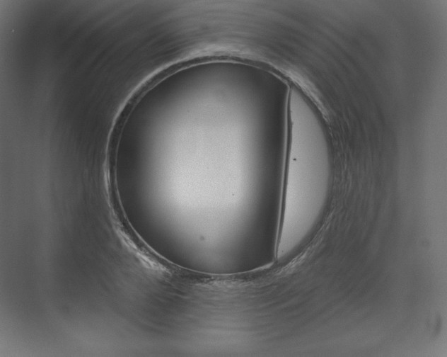 X0000073950888200608210939