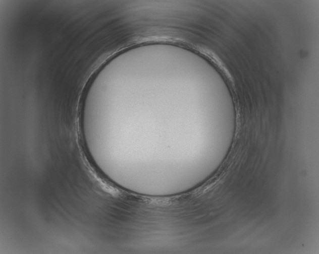 X0000073950890200608210939