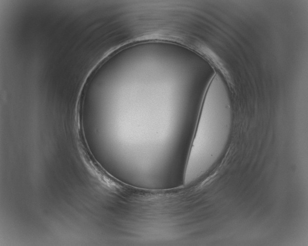 X0000073950892200608210939