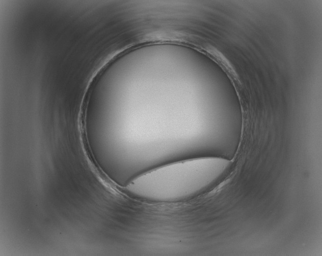 X0000073950893200608210939