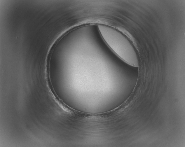 X0000073950894200608210939