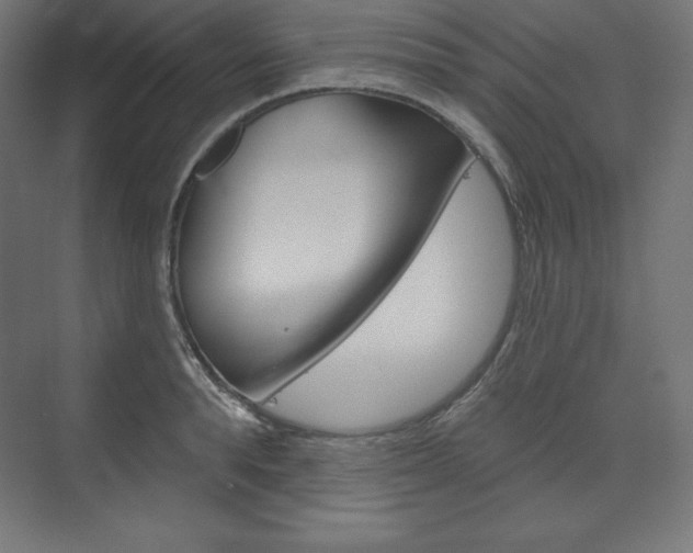 X0000073950896200608210939