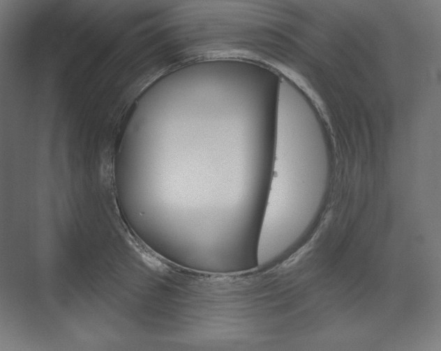 X0000073950897200608210939