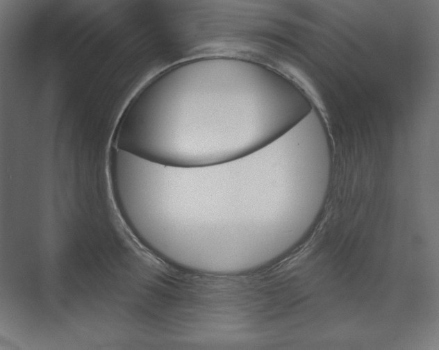 X0000073950899200608210939