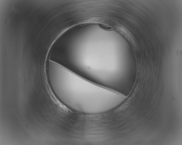 X0000073950900200608210939