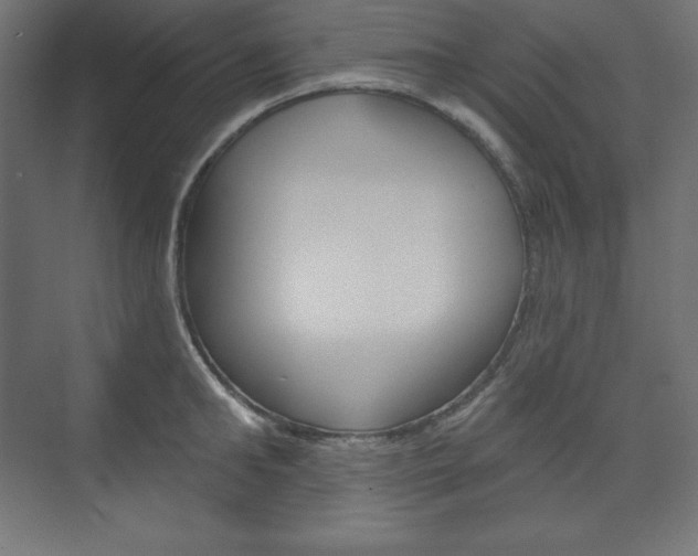 X0000073950902200608210939