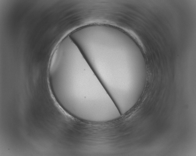 X0000073950903200608210939
