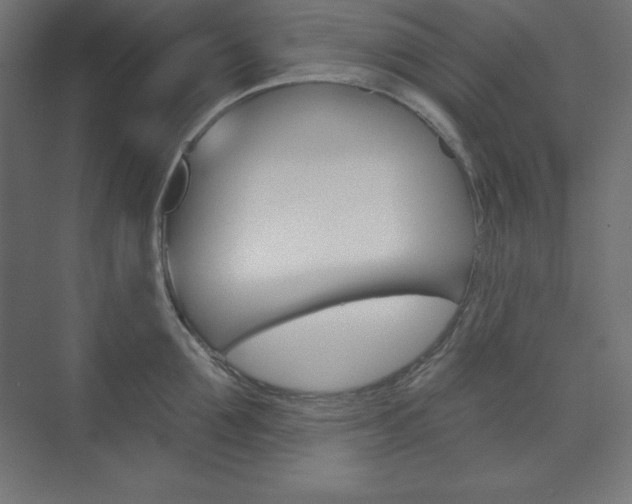 X0000073950907200608210939