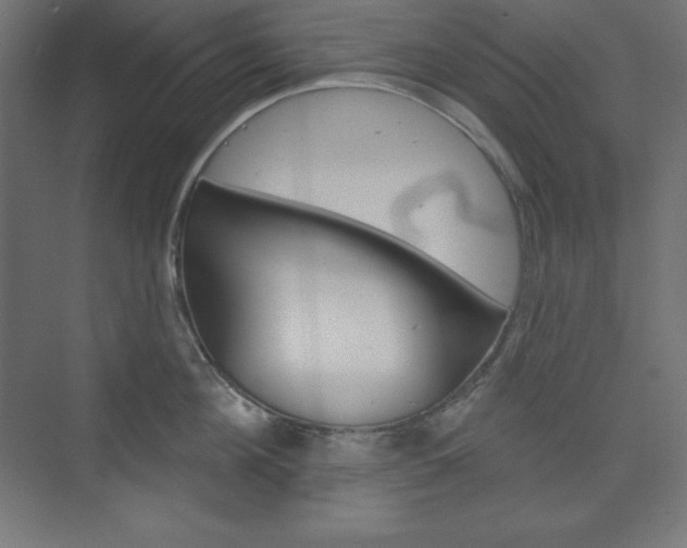 X0000073950908200608210939