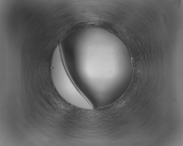 X0000073950916200608210938