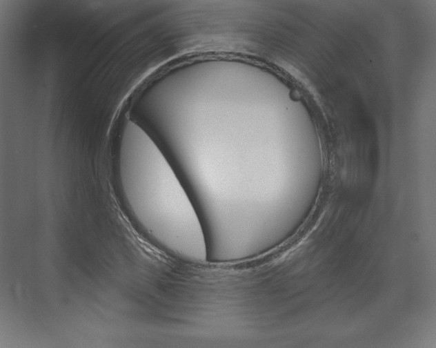 X0000073950925200608210938