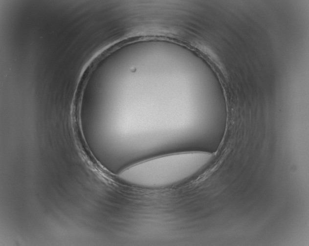X0000073950928200608210938