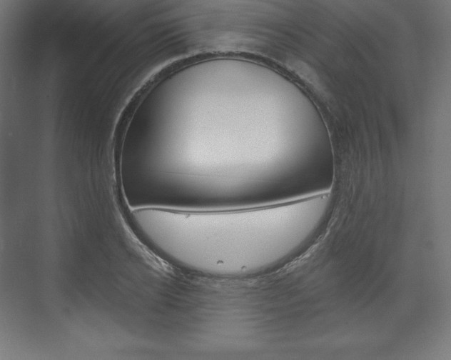 X0000073950934200608210938