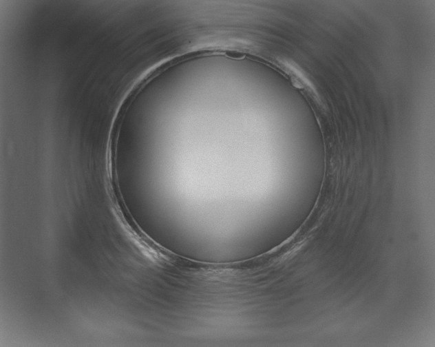 X0000073950940200608210939