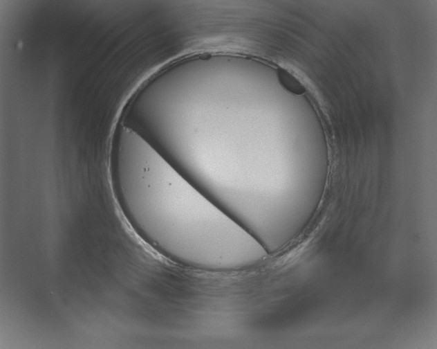 X0000073950941200608210939