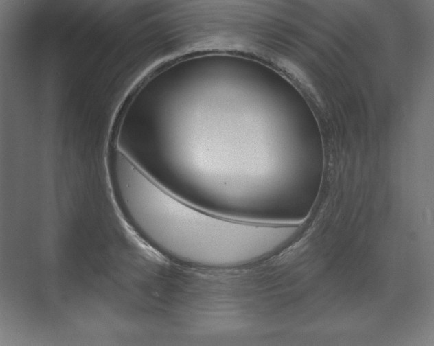 X0000073950942200608210939