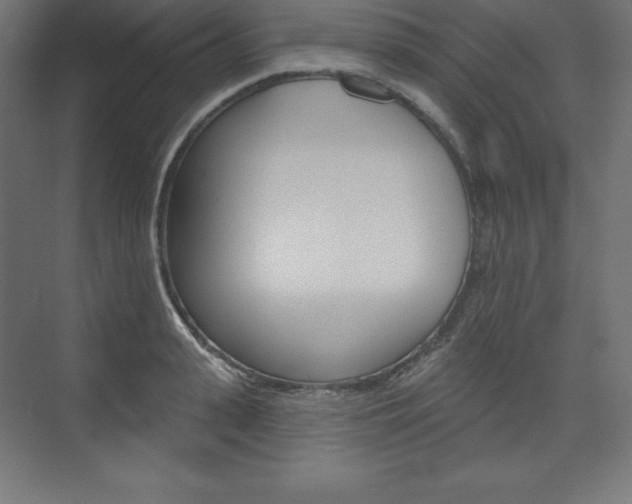 X0000073950943200608210939