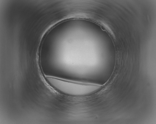 X0000073950944200608210939