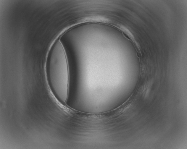 X0000073950947200608210939