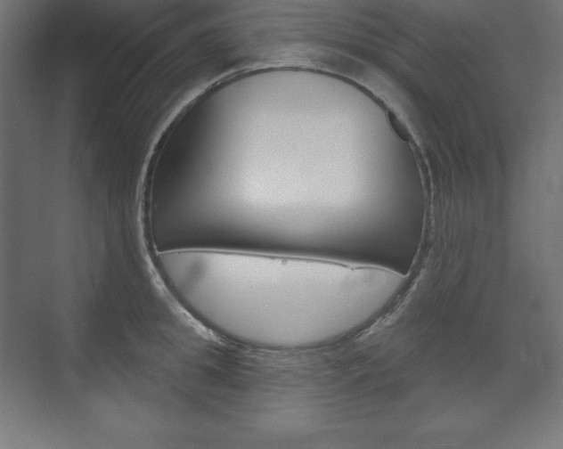X0000073950949200608210939