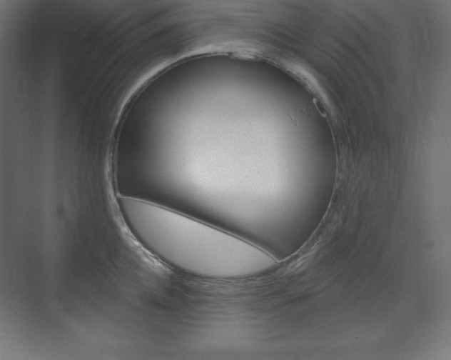X0000073950952200608210939