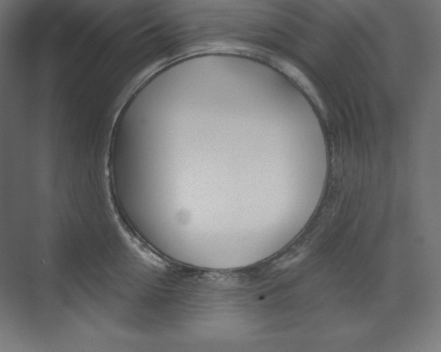 X0000073950954200608210939