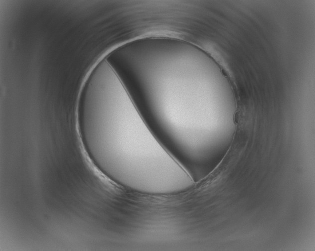 X0000073950955200608210939