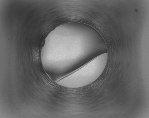 X0000073950963200608210938