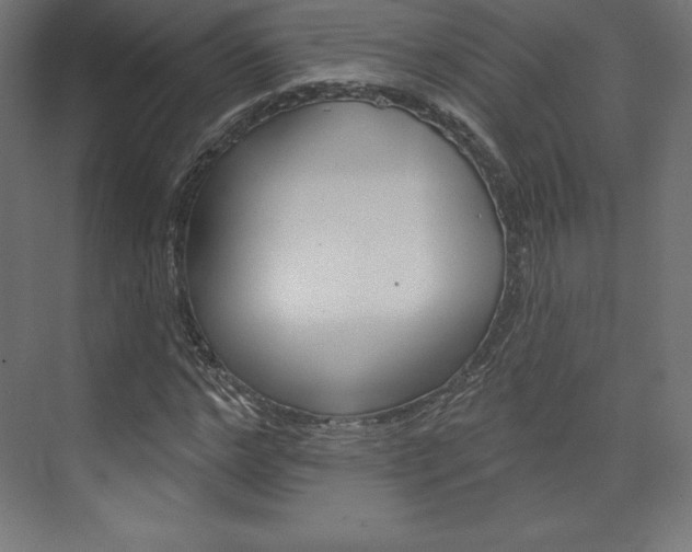 X0000073950968200608210938