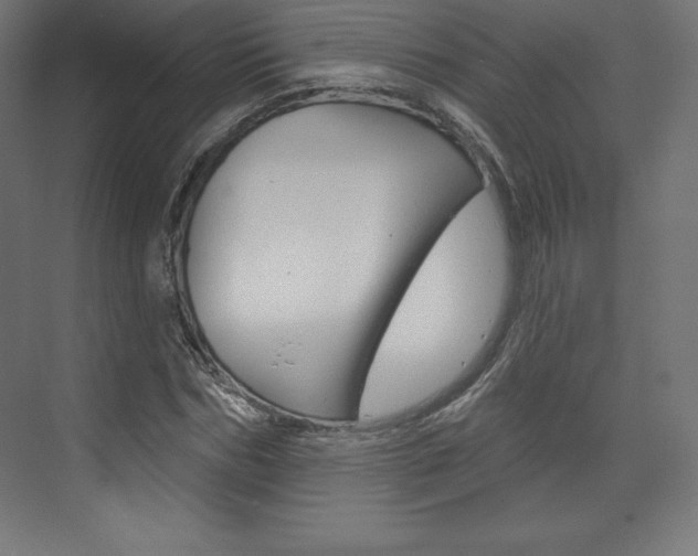 X0000073950970200608210938