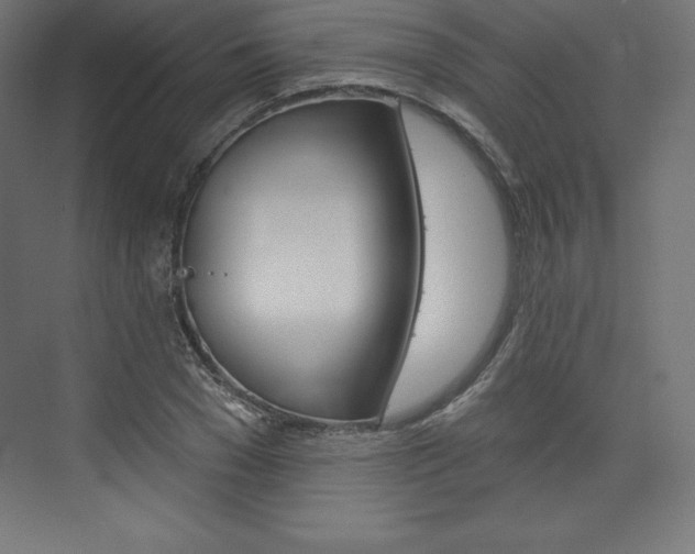 X0000073950977200608210938
