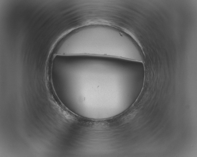 X0000073950979200608210938