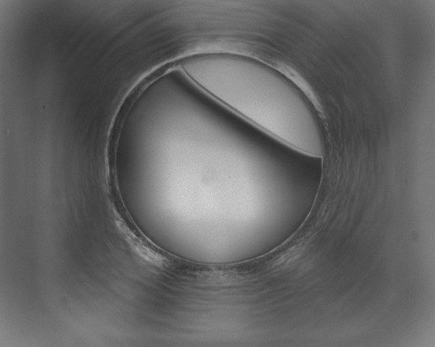 X0000073950980200608210938