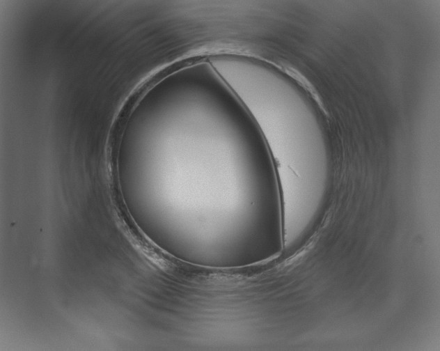 X0000073950981200608210938