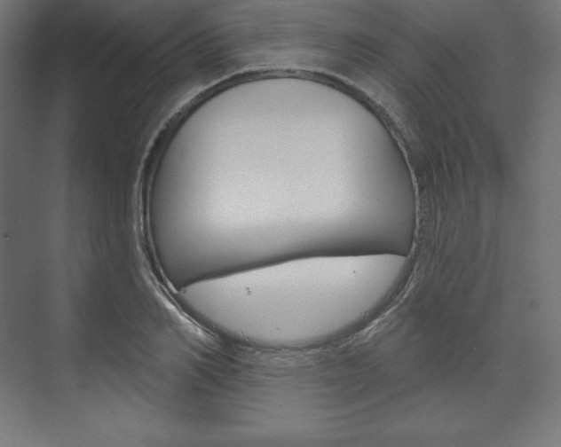 X0000073950982200608210938
