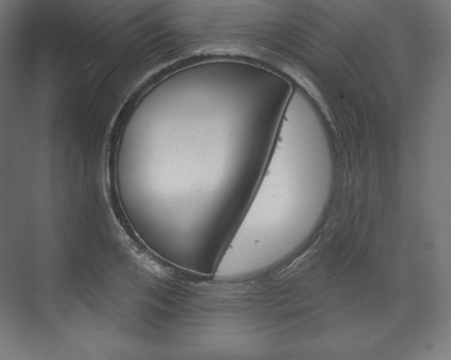 X0000073950984200608210938