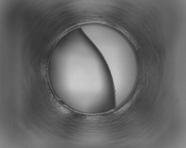 X0000073950985200608210938